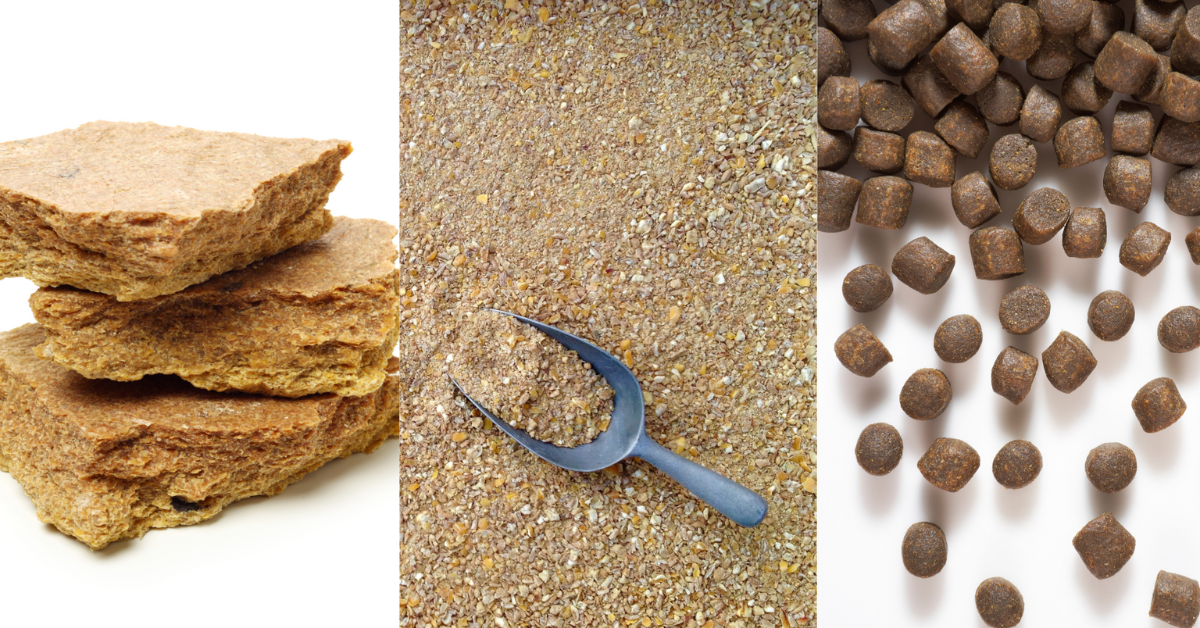 animal-feed